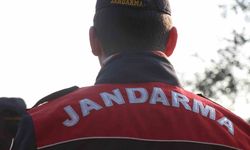 Aydın'da jandarma ekipleri tarafından bir haftada 232 kişi yakalandı