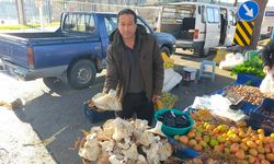 Aydın'daki dev mantarlar pazarda ilgi odağı oldu