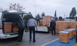 Babaeski'de üreticilere arı kovanı dağıtıldı