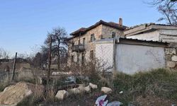 Bağlı köpek çocuklara saldırdı: 14 yaşındaki çocuk ağır yaralandı