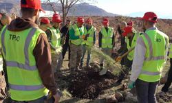 Bakan Bayraktar: 'Enerjide tam bağımsız, doğasıyla yeşil bir Türkiye için çalışıyoruz'