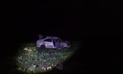 Bandırma'da otomobil domuza çarpıp takla attı: 1 ölü, 1 yaralı