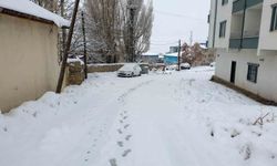 Başkale'de kar etkili oldu