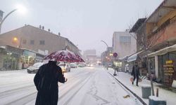 Başkale'de kar yağışı etkili oldu