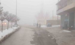 Başkale'de sis etkili oldu