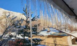 Başkale'de soğuk hava çatıları dondurdu