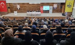 Bayburt'ta insan hakları konulu panel düzenlendi