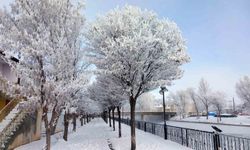 Bayburt'un Arpalı Beldesi güne kar yağışıyla uyandı