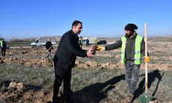 Beylikova Belediyesi bin adet karaçam fidanı dikti