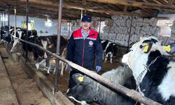 Beyşehir'de hayvancılık faaliyetleri yakın takipte