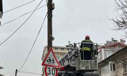 Beyşehir'de itfaiye merdiveni bu kez direğin tepesindeki kedi için uzatıldı