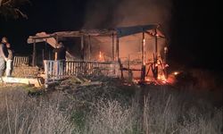 Bilecik'te benzinle mangal yakma girişimi bağ evini küle çevirdi