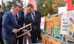 Bilecik'te bu yıl 126 bin 524 kilogram bal üretildi