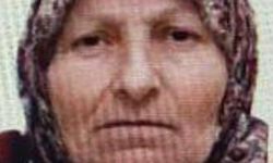 Bilecik'te kaybolan yaşlı kadını jandarma buldu