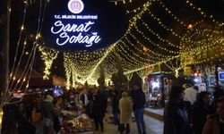 Bilecik'te Sanat Sokağına yoğun ilgi