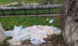 Bilecik'te yol kenarına atılan 15 çuval ekmek hamuru temizlendi