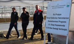 Bilecik'te yüzde 50 hibeli modern sera üretime katkı sağlıyor