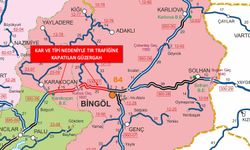 Bingöl'de bazı yollar kar yağışı nedeniyle trafiğine kapatıldı