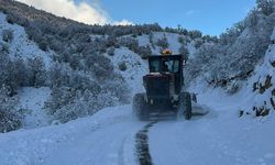 Bingöl'de kardan dolayı kapanan 75 köy yolunda çalışmalar sürüyor