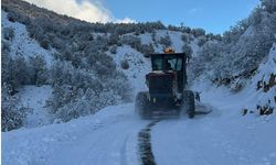 Bingöl'de yoğun kar yağışı: 100 köy yolu kapalı