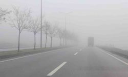 Bingöl'de yoğun sis etkili oldu
