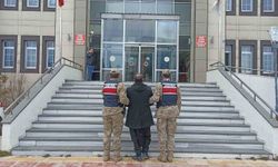 Bitlis'te 1 organizatör tutuklandı