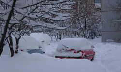 Bitlis'te kar yağışı nedeniyle 87 köy yolu ulaşıma kapandı