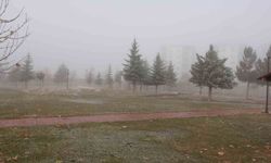 Bitlis'te sis ulaşımı olumsuz etkiledi