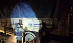 Bitlis'te tır dorsesinde 31 göçmen yakalandı