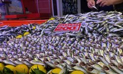 Bolu'da fırtına balık tezgahlarını vurdu