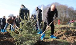 Bolu'da otel faciasında yaşamını yitiren 78 kişi için hatıra ormanı