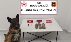 Bolu'da otomobilde zulalanmış uyuşturucuya 2 gözaltı