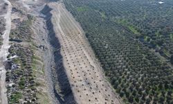 Buharkent'te İlek Bahçesi Projesi'nde altyapı çalışmaları sürüyor