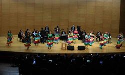 Bursa'da 'Balkan ve Roman Gecesi' coşkusu