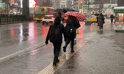 Bursalı çiftçilerin yağışlarla yüzü güldü