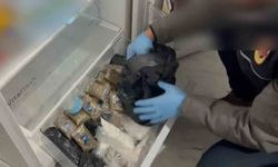 Buzdolabından esrar ve kokain gardıroptan tabanca ve para çıktı