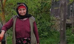 Çanakkale'de kaybolan Alzheimer hastası ölü bulundu