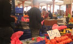 Çanakkale'nin meşhur domatesi tezgahlarda 40 liradan 10 liraya kadar düştü