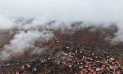 Çankırı'da sis ve kızıla bürünen ormanların buluşması mest etti