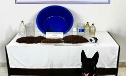 Çankırı'da uyuşturucu operasyonu: 1 gözaltı