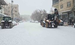 Çermik'te kar esareti