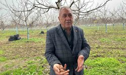 Cevizle yaşam şartları değişen köyde İstanbullular da bahçe kuruyor