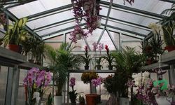 'Çiçek Doktoru' Ersan: 'İnsanlar bitkileriyle ilgili yaşamış oldukları sorunları bana iletiyor, ben de onlara çözümler üretiyorum'