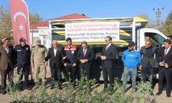 Çiftçilere 4 bin zeytin fidanı dağıtıldı