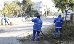 Çine'de sahaya inen ekipler temizlik ve bakım çalışması yaptı