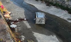 Çöp konteynerleri ilçe kanalına atıldı, belediye hukuki süreç başlatacak