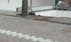 Çöpe atmak için yerden aldığı kargo poşetinin içinden 60 bin dolar çıktı