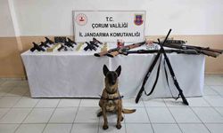 Çorum jandarmasından 'düğün magandaları'na operasyon : 11 gözaltı