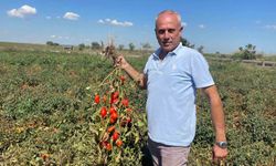 Dedesi seçimde muhtar oldu adına 'Seçim' konuldu