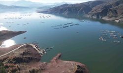 Denizi olmayan Tokat'ın somonları dünya sofralarına ulaşıyor